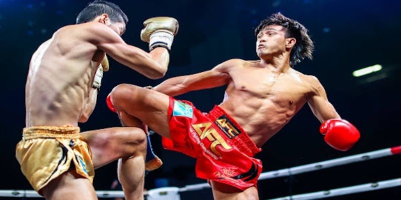 Cá Cược Quyền Thái ONE Championship Dễ Thắng Hiệu Quả 3 Trang Chủ Jun88.com #1 Việt Nam Bí quyết cá cược quyền Thái ONE Championship phân tích võ sĩ