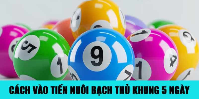 Nuôi Bạch Thủ Lô Khung 5 Ngày Đảm Bảo Ăn Đậm Tiền 2 Trang Chủ Jun88.com #1 Việt Nam Công thức vào tiền chuẩn khi nuôi bạch thủ 5 ngày