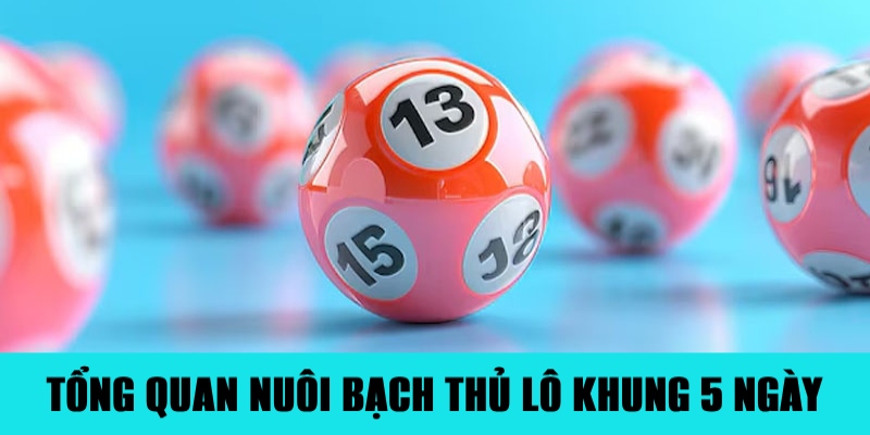 Nuôi Bạch Thủ Lô Khung 5 Ngày Đảm Bảo Ăn Đậm Tiền 1 Trang Chủ Jun88.com #1 Việt Nam Thông tin cơ bản về việc nuôi bạch thủ lô khung 5 ngày